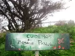 bosque panul