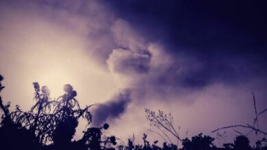 Argentina reporta humo. Incendios forestales