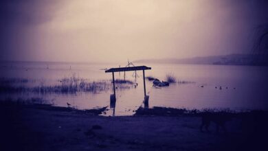 Contaminación en el Lago Villarica