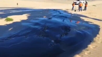 Culpables de derrame en Atacama / La denuncia apunta a Compañía de Aceros del Pacífico (CAP)