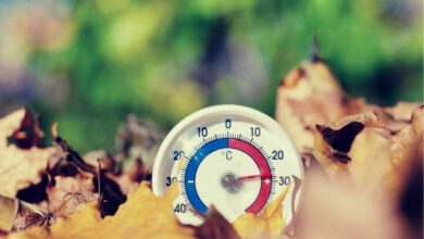 Calentamiento Global Tomate Rojo