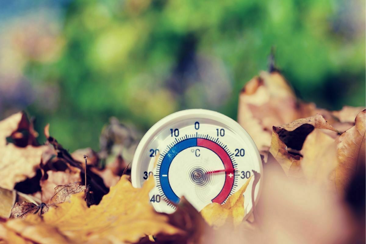 Calentamiento Global Tomate Rojo