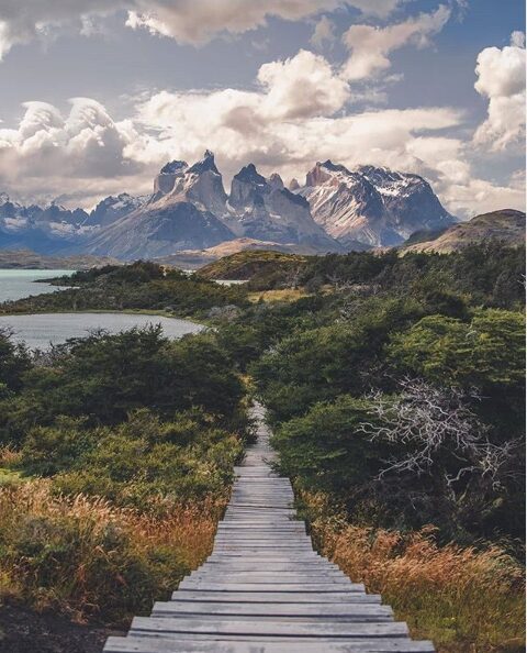 Bosques Nativos