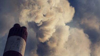 Emisiones de CO2 - Tomate Rojo