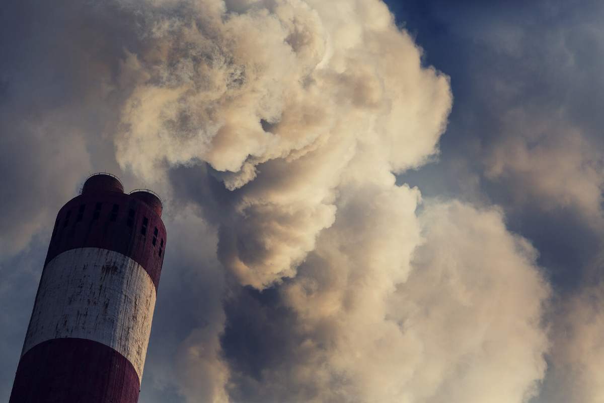 Emisiones de CO2 - Tomate Rojo