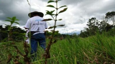 Activistas asesinados en pandemia del coronavirus suman al menos una docena
