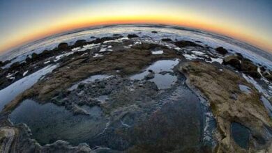 Día del Planeta