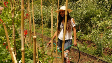 cómo empezar una huerta