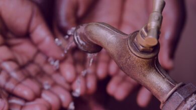 resoluciones de gobierno