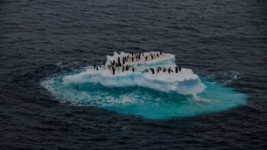 Chile entra en sobregiro ecológico