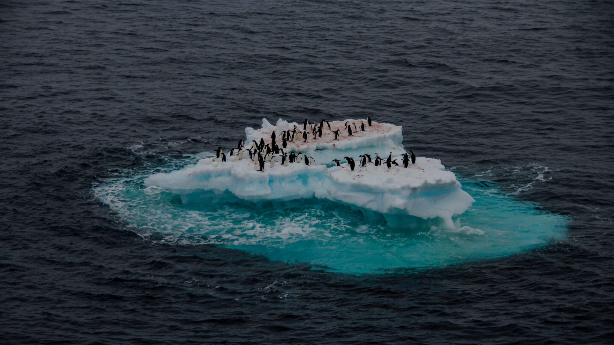 Chile entra en sobregiro ecológico