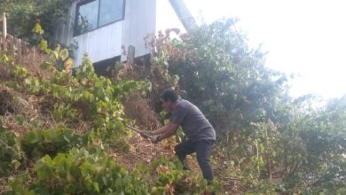 Agricultura urbana en Valparaíso