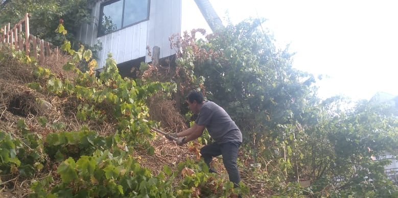 Agricultura urbana en Valparaíso