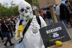Tribunal Constitucional falla a favor de Monsanto