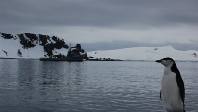 agujero en la capa de ozono