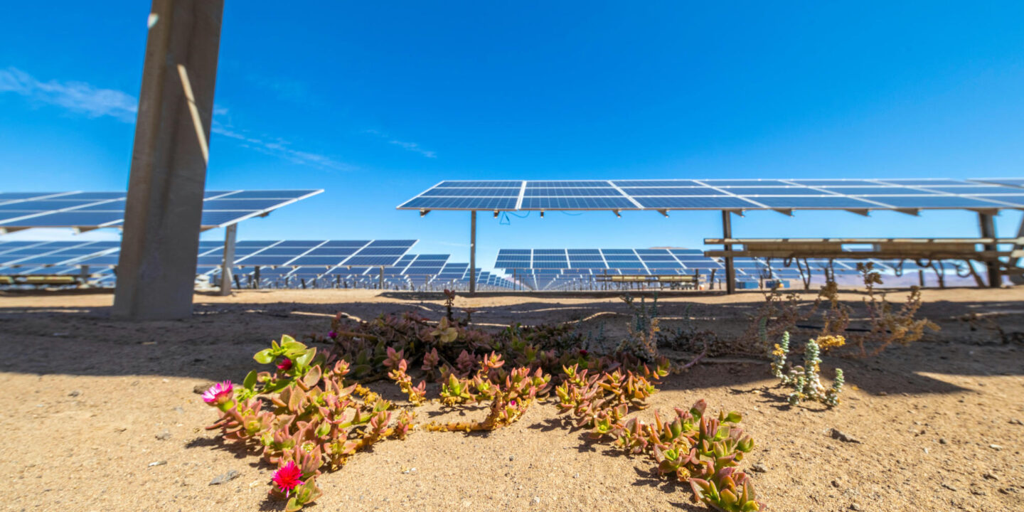 América Latina y el avance ambiental en medio de la pandemia