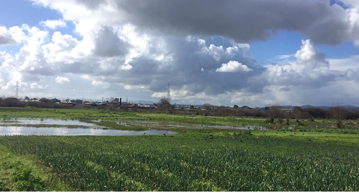 Humedal Marisma Rocuant Andalien