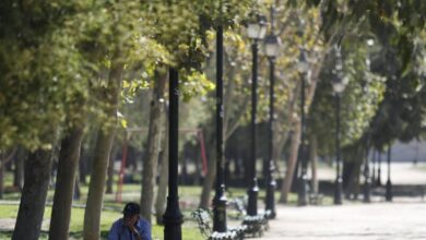 árboles de santiago y sus problemas