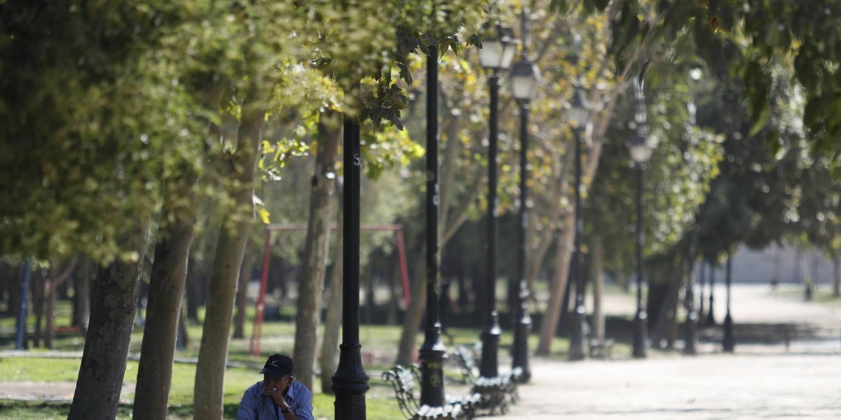 árboles de santiago y sus problemas