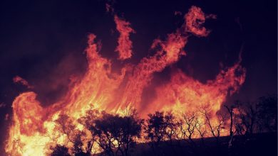 incendios forestales