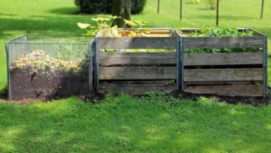 cómo hacer compost casero