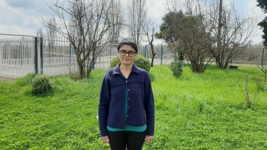 Seguridad alimentaria / Campo change