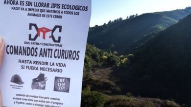 Salvemos el Bosque de Reñaca