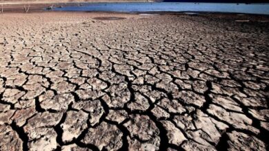 cambio climático