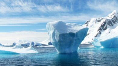 La Antártica