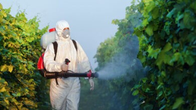 Plaguicidas cancerígenos en el acuerdo de Chile y Brasil