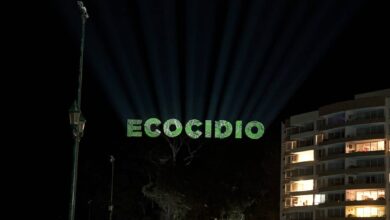Ecocidio en Papudo