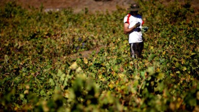 zona de emergencia agrícola