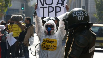 verdadero cáracter tpp-11