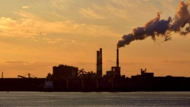 realizar una denuncia ambiental