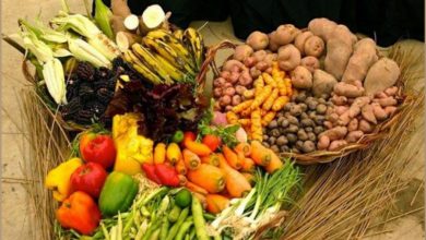 soberania alimentaria