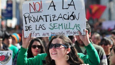 TPP - 11 y su impacto en la semilla