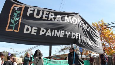 Monsanto en Paine. Monsanto en Chile