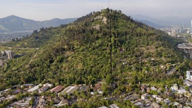 parques abiertos en cuarentena