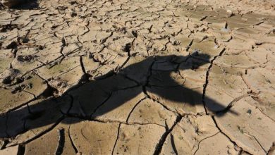 El drama de El Melón