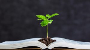 cambio climatico en el colegio