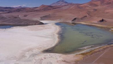 El documental «Maricunga: ecosistema amenazado por la minería del litio» es una pieza audiovisual que retrata los impactos socioambientales negativos de la minería del oro y el litio en Copiapó.
