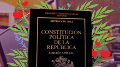 Agroindustria en la Convención Constitucional