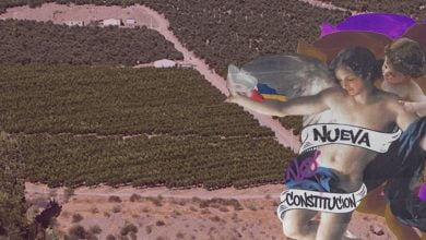 Chile la potencia agroalimentaria