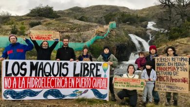 Rechazo a hidroeléctrica Los Maquis/Crédito: Red Los Maquis Libres