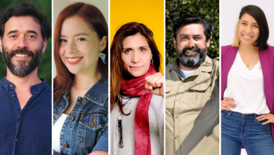 candidatos ambientalistas a diputados