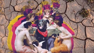 agroindustria en la Convención Constitucional