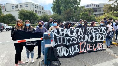 los 12 de la udec