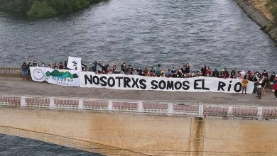 defensa del rio bio bio