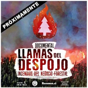 llamas del despojo Llamas del despojo