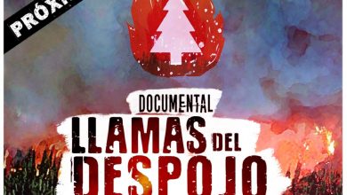Llamas del despojo